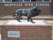 3-27-07 Lion